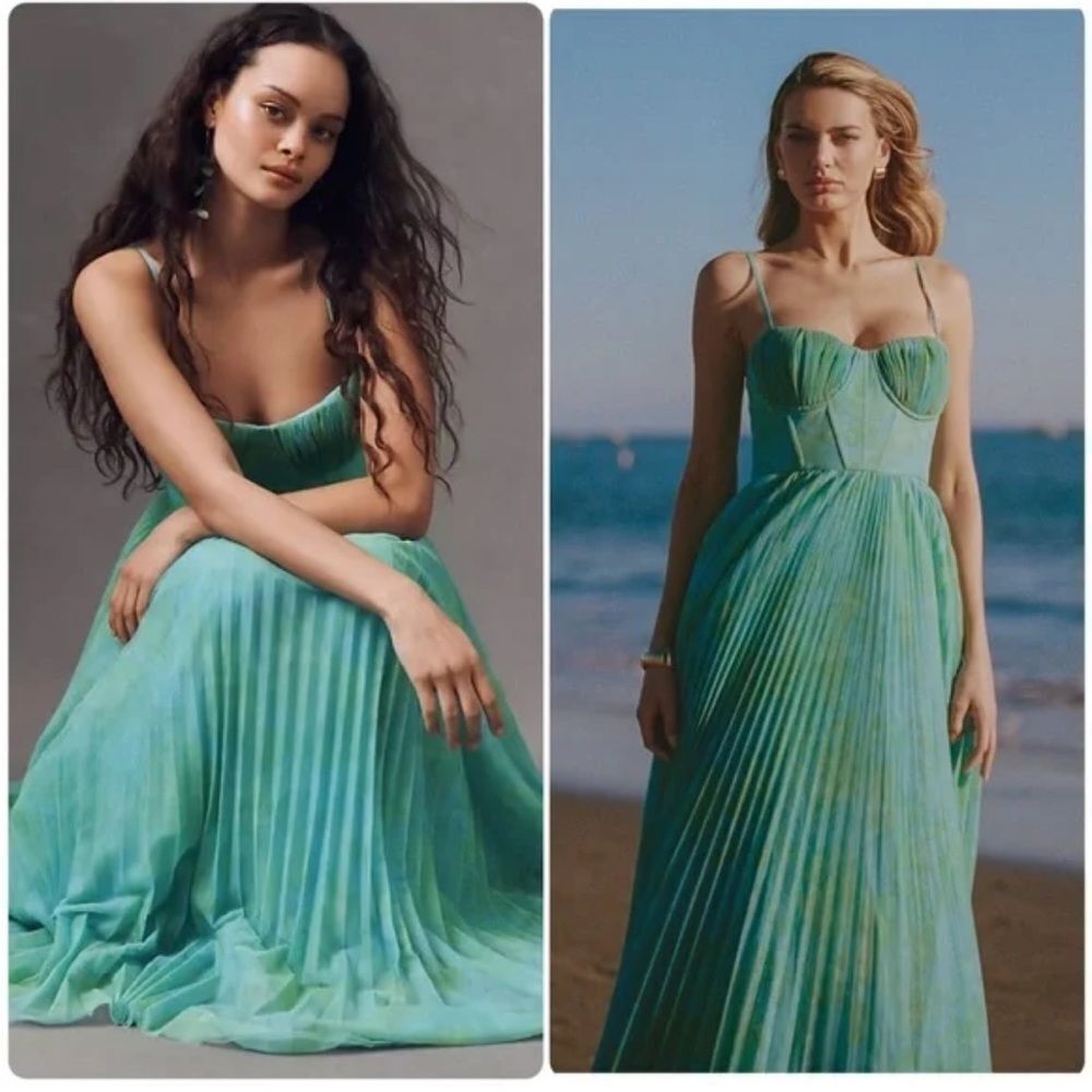 Anthropologie Hutch Amara Corset Pleated Tulle Fit & Flare Midi Dress